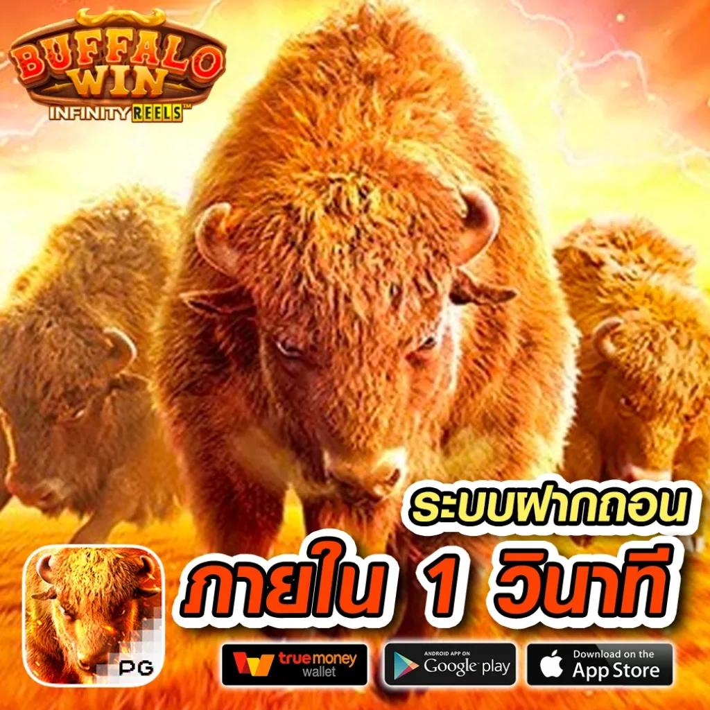 บ้นผลบอล คาสิโนออนไลน์อันดับ1 พร้อมโปรโมชั่นสุดฮิตในไทย