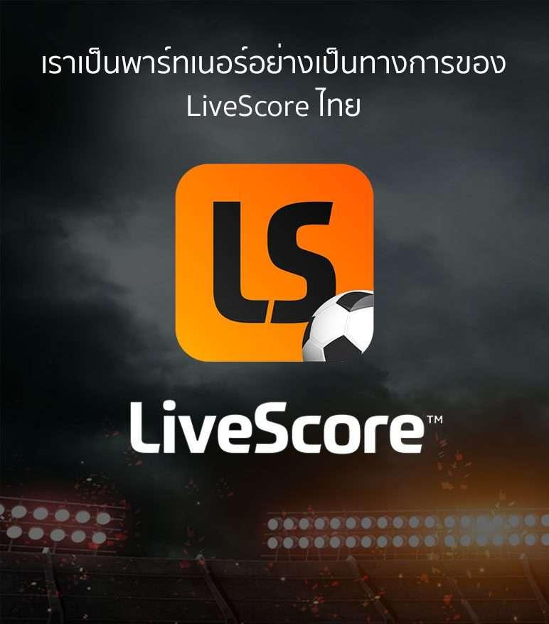 หมีชมพู คาสิโนครบวงจร พร้อมโปรโมชั่นสุดฮิต ปลอดภัย 100%